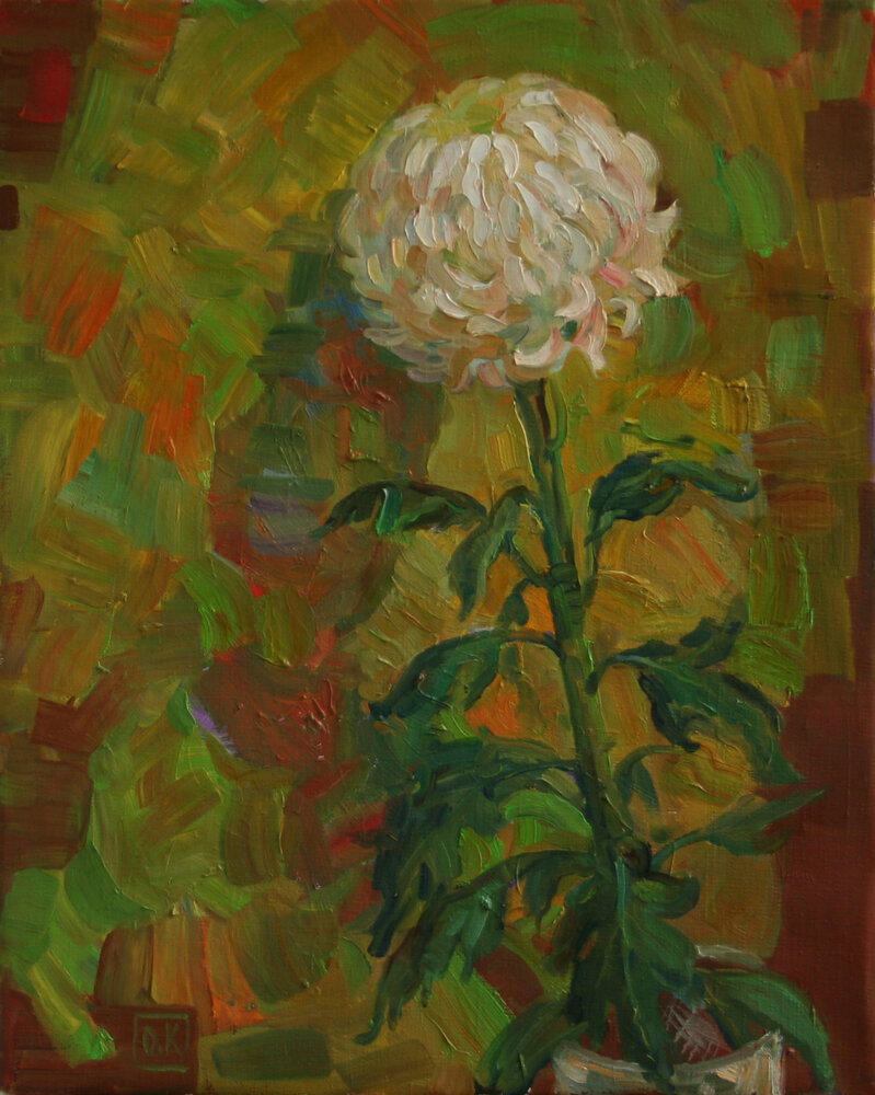 Chrysanthemum
