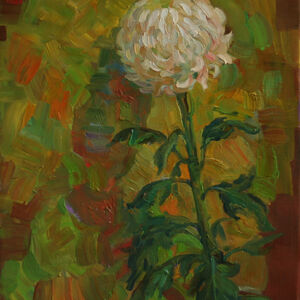 Chrysanthemum