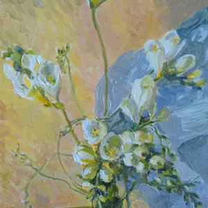 Freesia