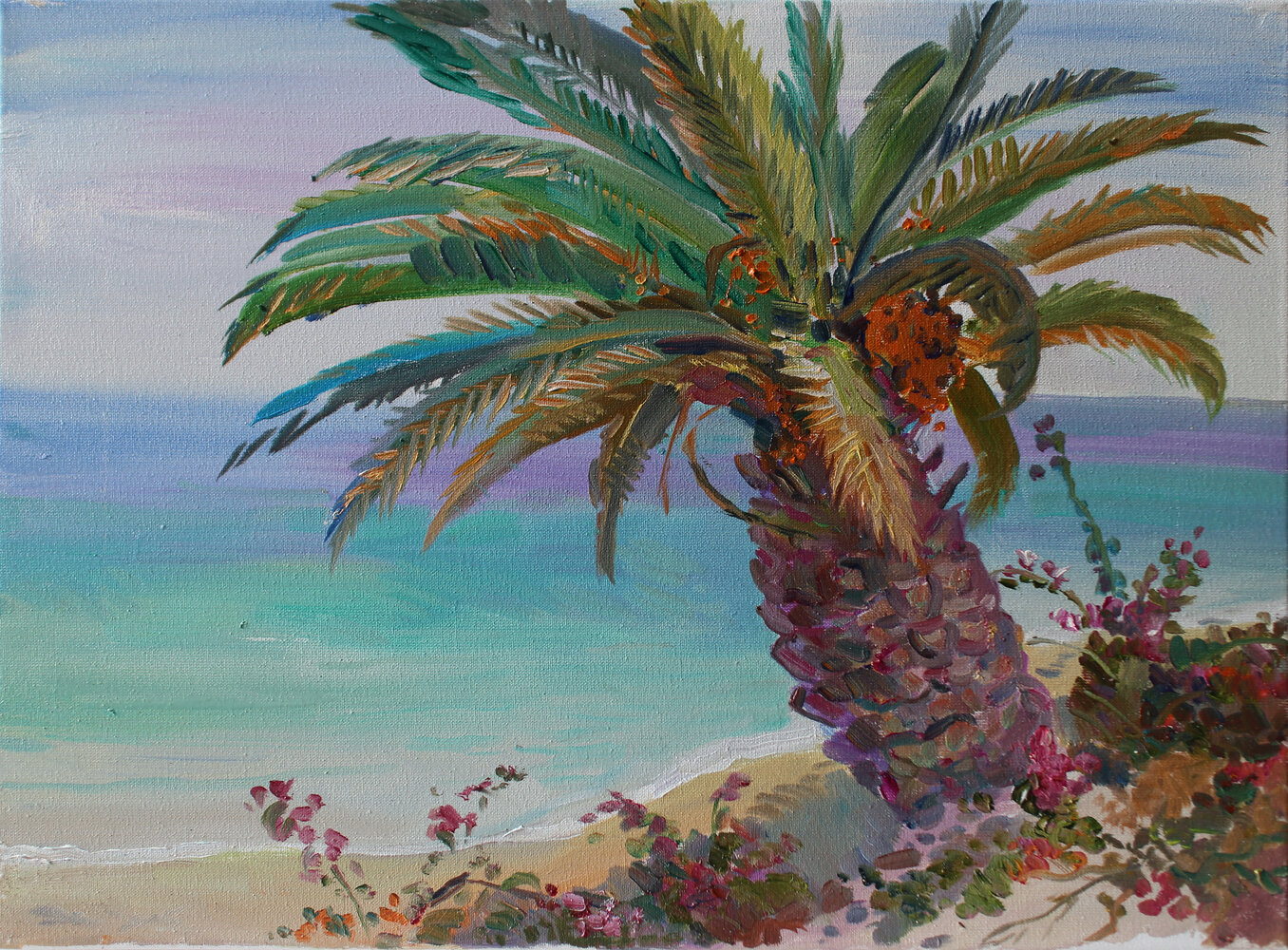 In the shadow of the Palm. Fuerteventura