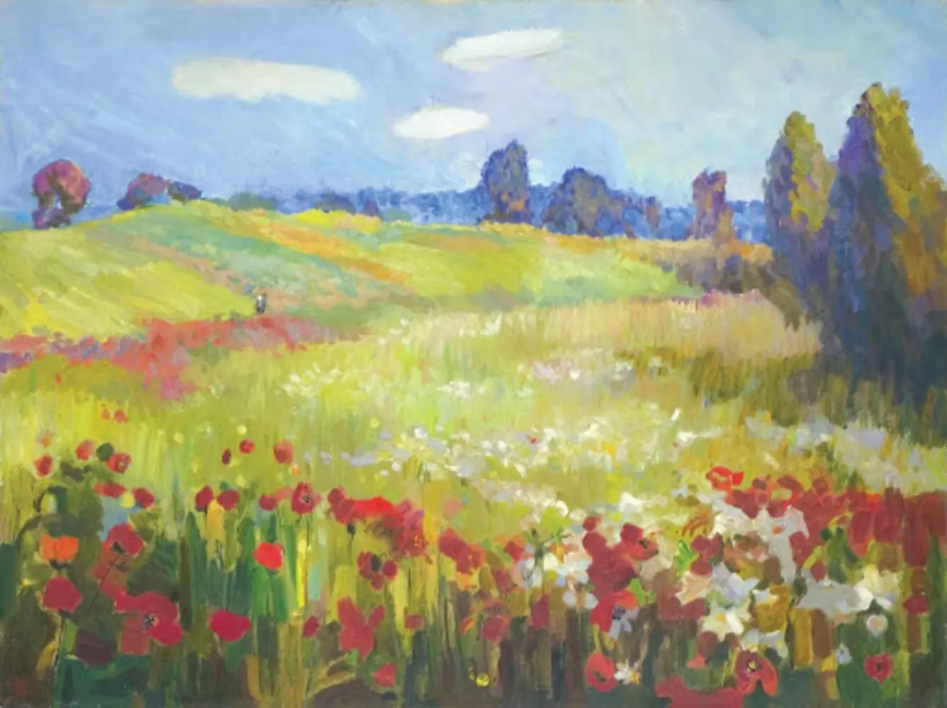 Poppy field